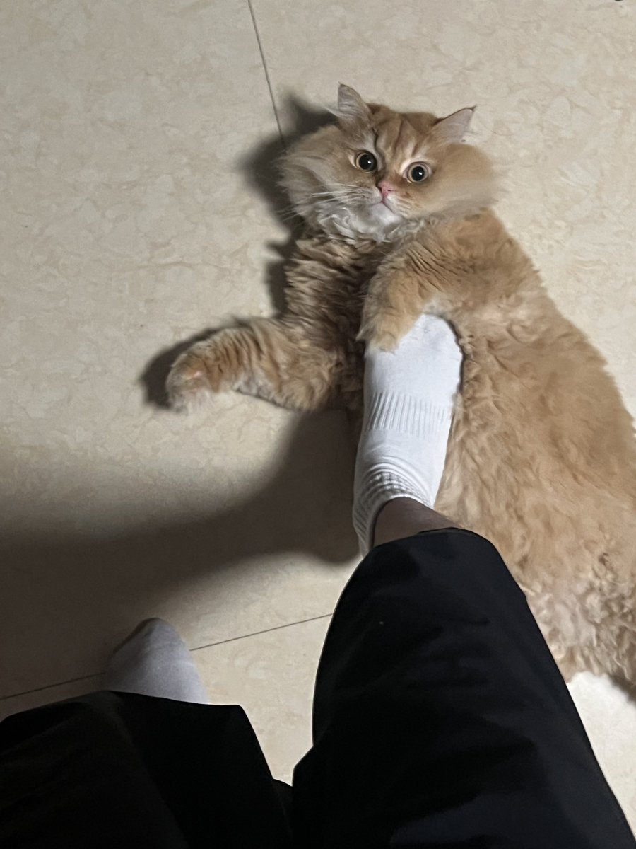 wikkp2's tweet photo. 惊恐 https://t.co/ronDqi4KWU