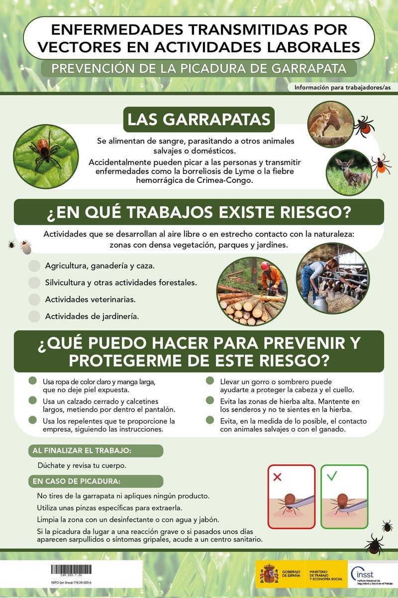 ⚠️ Aquí van unas recomendaciones en caso de picadura de garrapata
#Prevencion #IAPRL #Asturias #alerta

➡️ Más información :
aemps.gob.es/comunicacion/c…