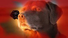 LilyGator3's tweet photo. How I felt when I was casually playing and saw that dreaded red boarder 
#pressure #pandemonium https://t.co/LghJQKUxNp