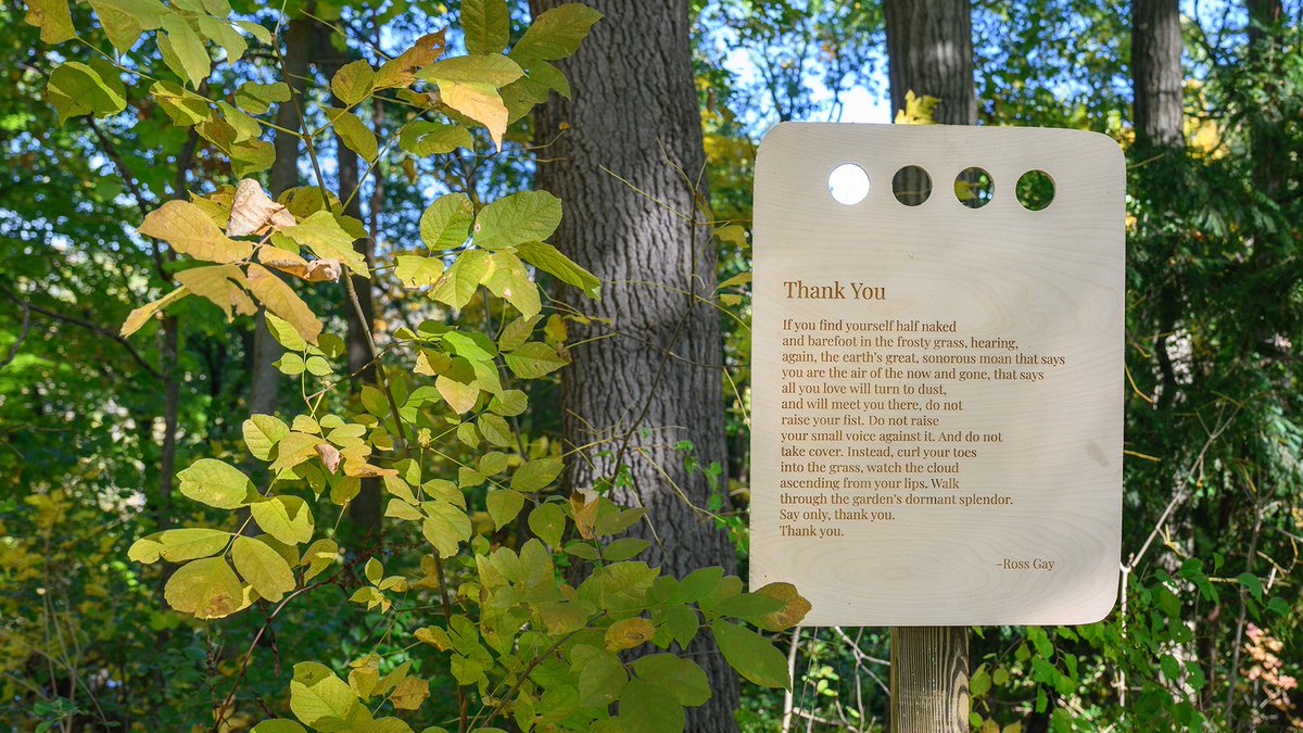 Students transform the Arb into an art exhibit, guiding visitors with poetry and connection, and reminding us that “the earth is a living thing.” 🌳 myumi.ch/bVVNd #poetry