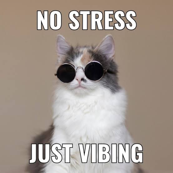 freshifyeco's tweet image. Hide your worries.
