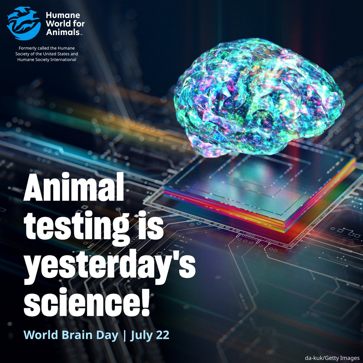 humaneworldeat's tweet image. 🧠 This #WorldBrainDay, we’re highlighting Riccardo Barrile, PhD, an innovative scientist developing non-animal, human-focused models based on 3D bioprinting & organs-on-chips to better understand & treat human brain diseases like glioblastoma, a devastating childhood cancer. 👏