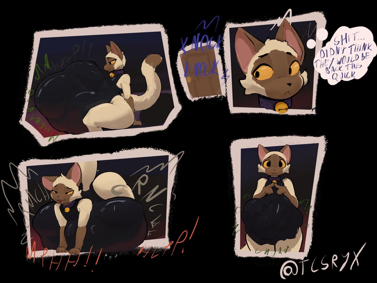 can i erase u in my tummy please?? 🥺👉👈

idk if anyone remembers the black cat but he is siamese now :3