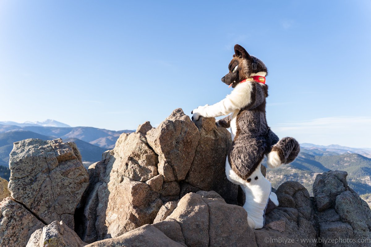 SeireinoSensh's tweet image. Not every day will be the best, it's how you turn it around and make it better that shows your true strength.
Who will i see at Megaplex ? Should be able to bring a lot more things and suits if anyone wants to meet or suit swap. Love to try a SpiritPanda, Beauty of the bass,…