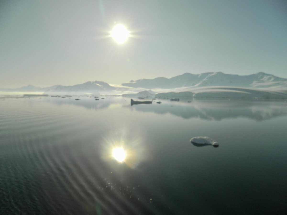 tim parham tweet media