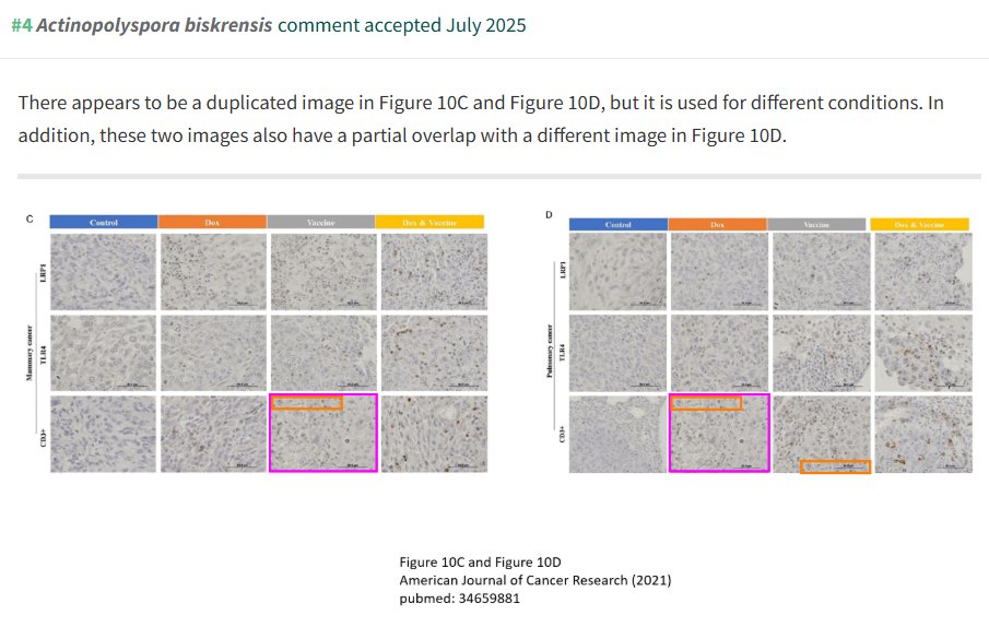 Thatsregrettab1's tweet image. Oopsies.
NIH-funded research courtesy of @BrownUniversity researchers and American Journal of Cancer Research. Multiple image issues. Seems an odd journal choice for NIH research.
pubpeer.com/publications/7…