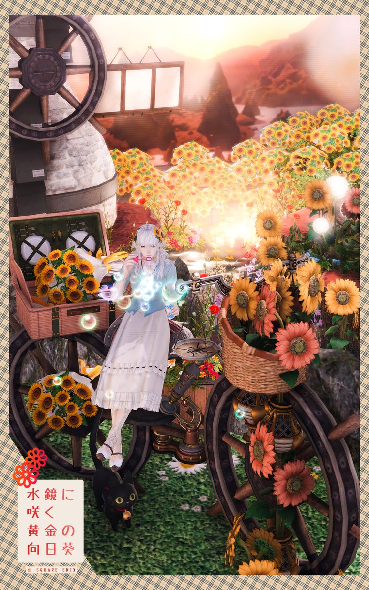 len_xiv's tweet image. 『水鏡に咲く黄金の向日葵』
#HousingNoah