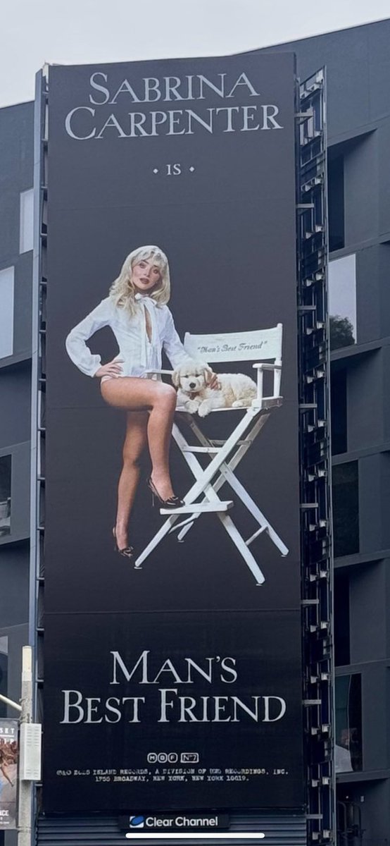 bad4sabs's tweet image. jaw DROPPED this serve