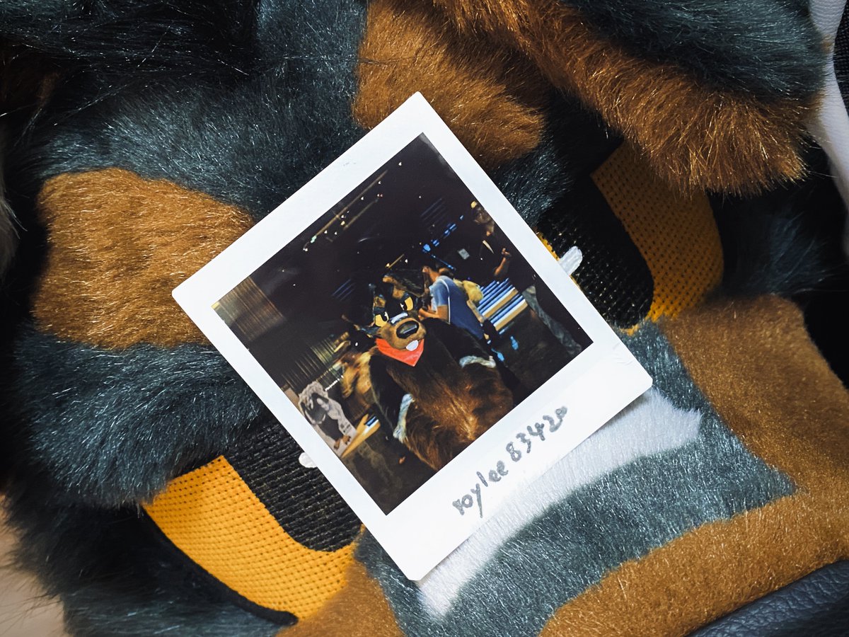LOBO_Rottie's tweet image. #UTFG2025
@roylee83420 took a photo of me at the convention and gave it to me. I really love it!