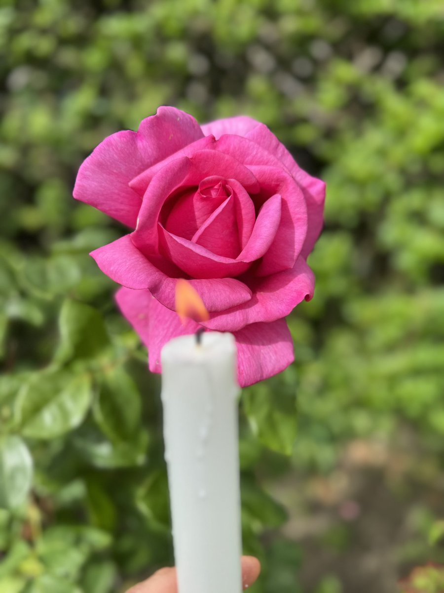 DrDMacaskill's tweet image. Lighting tonight’s #candleforcare during #AccessibleOutdoorsMonth and in acknowledging the critical importance of all people regardless of #age or #disability being able to access the #outdoors. #careaboutcare