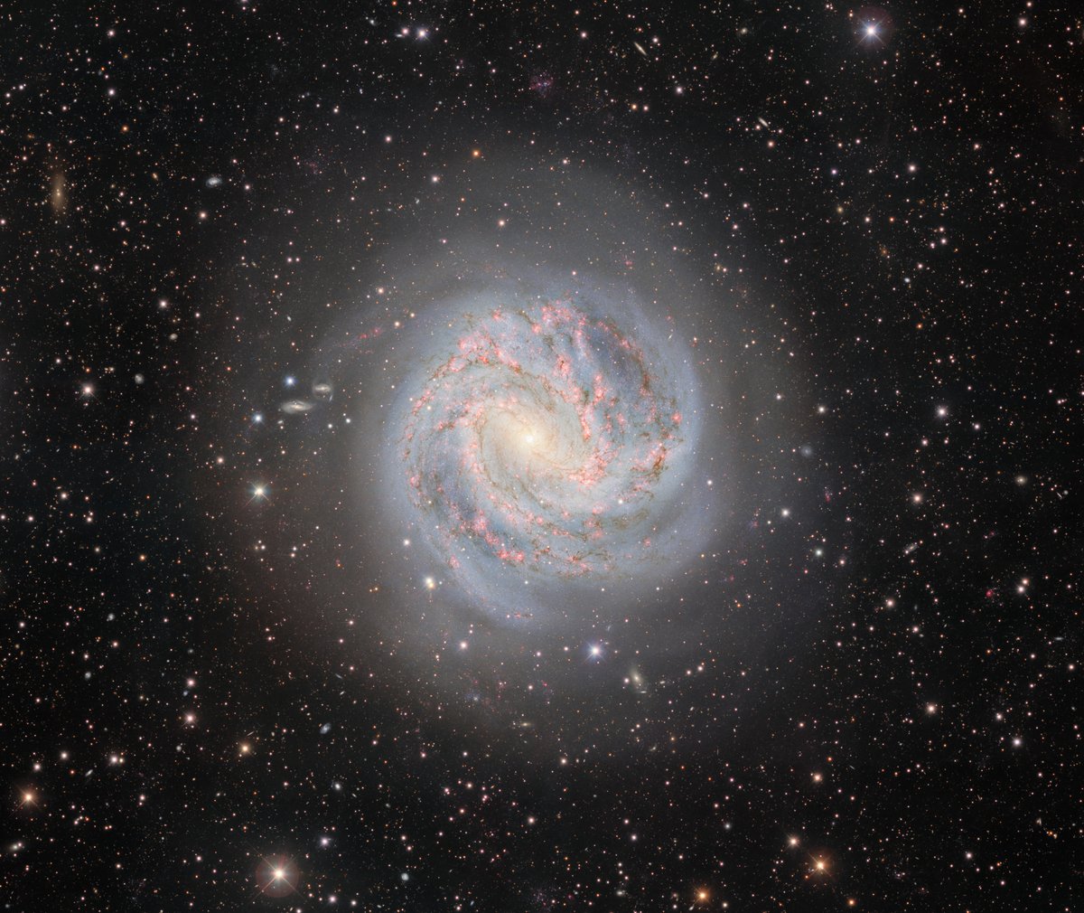 NOIRLabAstro's tweet image. Please stop tagging your location at the Southern Pinwheel Galaxy
It’s 12 million light-years away
📍You're at your local coffee shop
This image was captured by the Víctor M. Blanco 4-meter Telescope in Chile.
📷: CTIO/NOIRLab/DOE/NSF/AURA/T.A. Rector, D. de Martin & M. Zamani