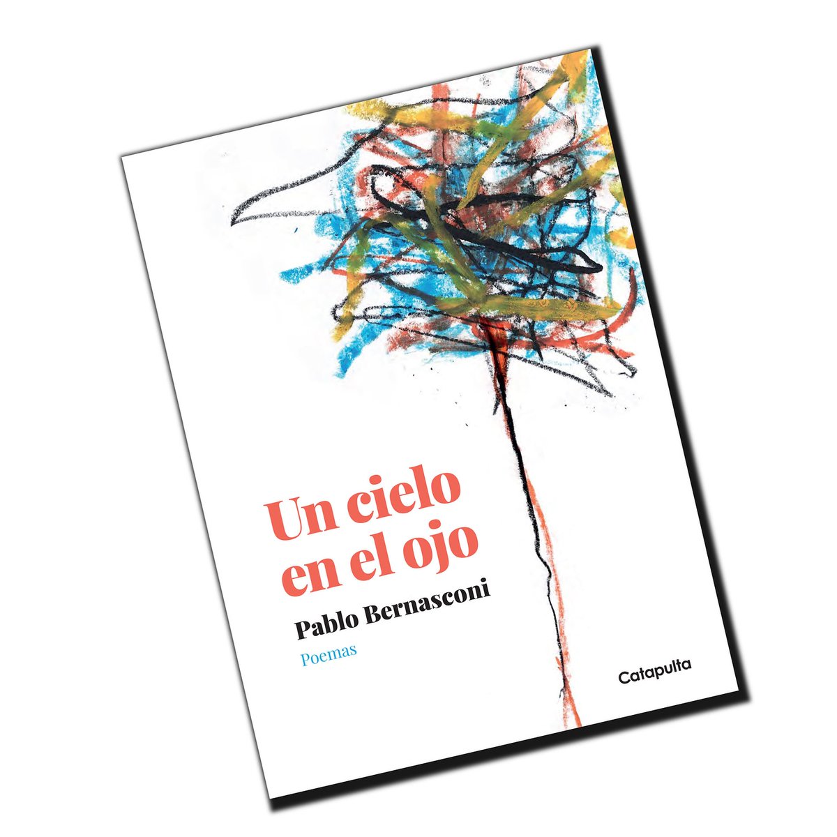 UN CIELO EN EL OJO - poemas
Presentación oficial en Bariloche
Jueves 24 de julio – 19 h
Estación Araucanía - Bariloche
Entrada sin costo con inscripción previa : forms.gle/jr9RAMgVWqrkka…