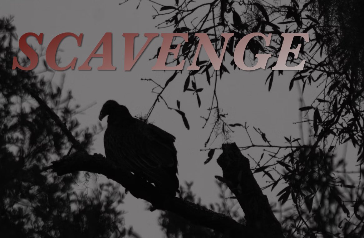 SymphUnchained's tweet image. #UnchainedSymphonies word of the day: Scavenge

Tag #UnchainedSymphonies for retweets💜 

#WritingPrompts