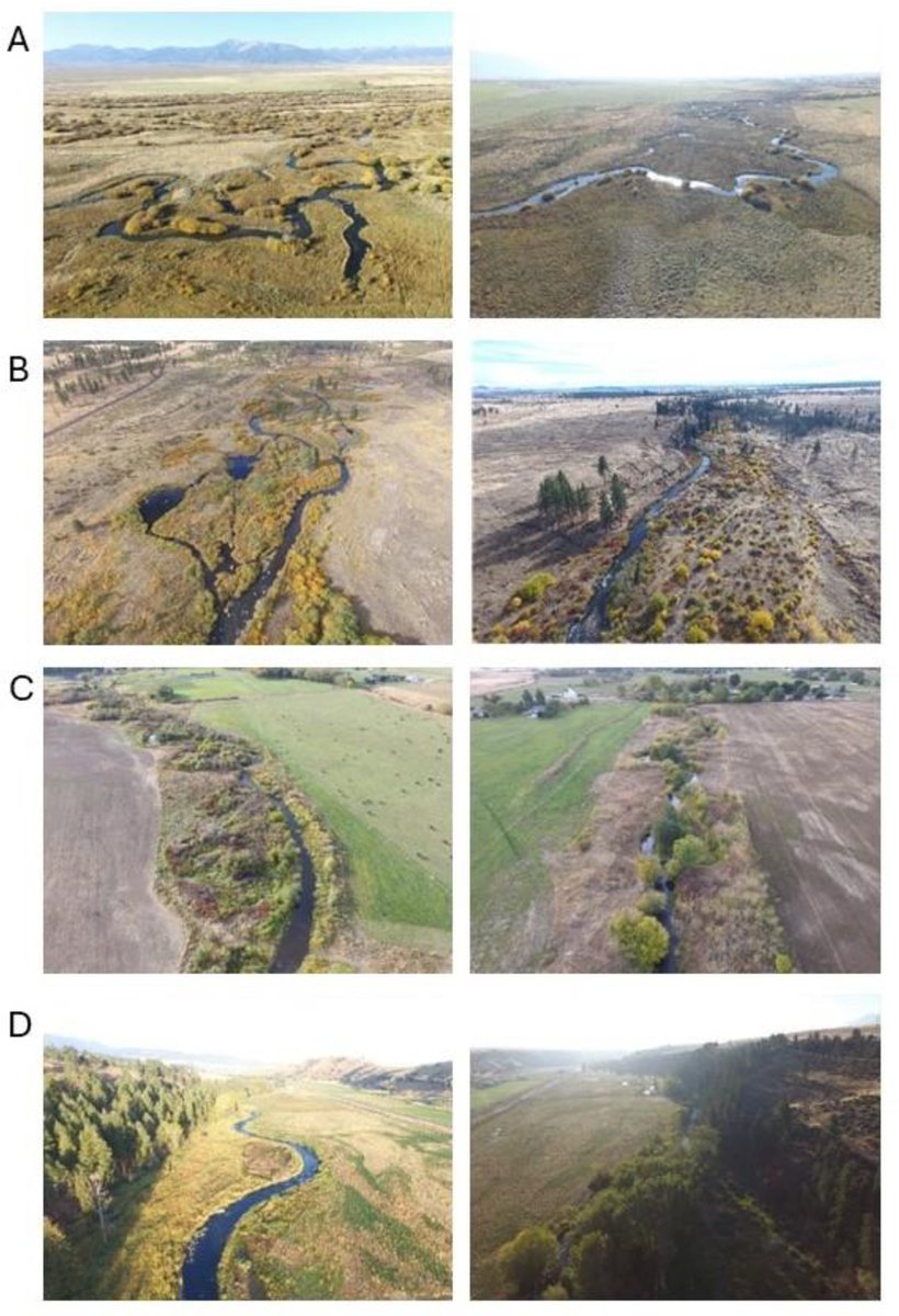 cjfas's tweet image. Floodplain areas are critical habitat for many fish species. When designing #restoration work, measuring biological responses to restoration efforts are often overlooked.
Roni et al. measure fish responses of projects in the Columbia River Basin: ow.ly/w0Z750Wcs6Z