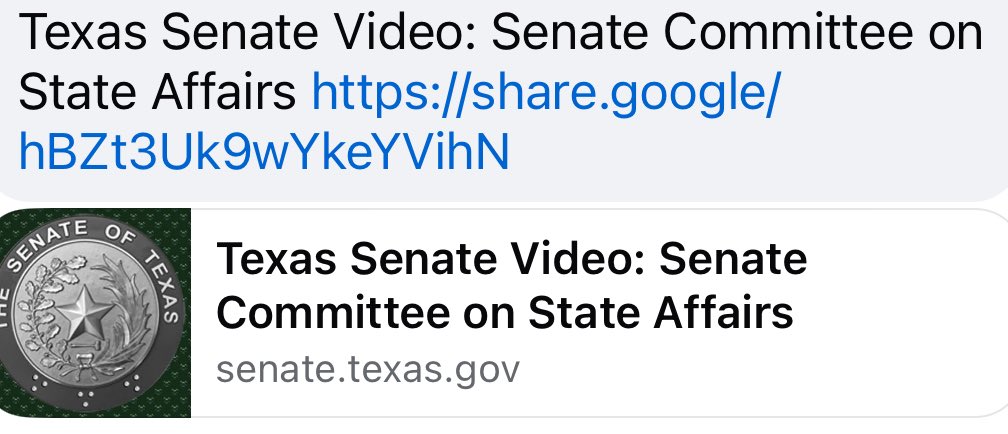 OGLeahPatrick's tweet image. Texas Senate Video: Senate Committee on State Affairs share.google/hBZt3Uk9wYkeYV… #txlege