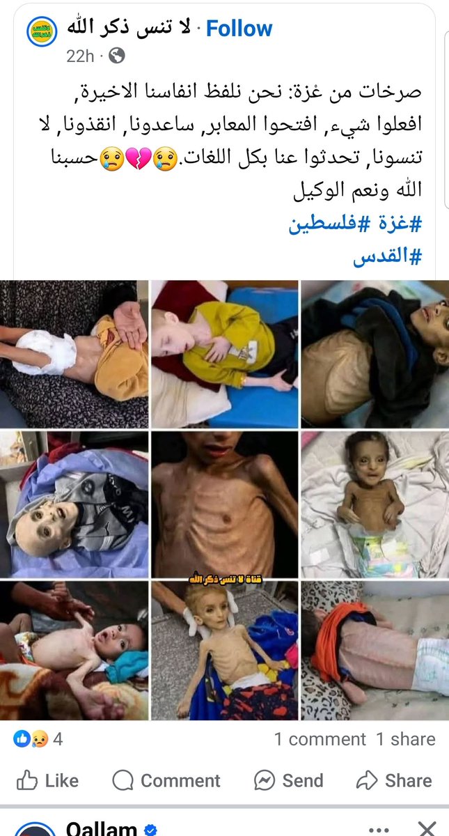Gaza city crime    plaestine
غزە
غەزە