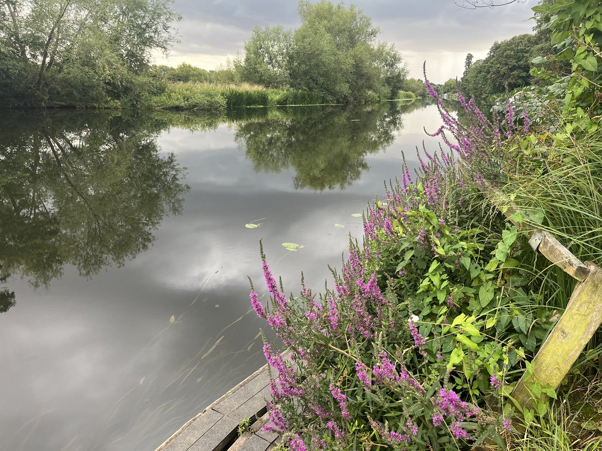 helengoth's tweet image. The river is looking so vibrant at the moment! 🪷🪻4x1km #kayaking session this evening! #RiverAvon