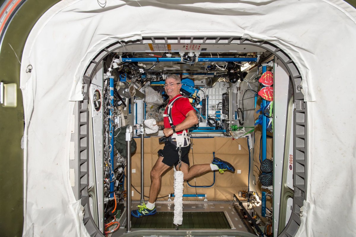 NASA_Johnson's tweet image. Even astronauts get their daily steps in 🏃♀️💪
Exercising aboard the @Space_Station helps astronauts combat space-induced bone & muscle loss. Learn about crew fitness regimens & what it takes to stay healthy in space. youtube.com/watch?v=n-0A0z…