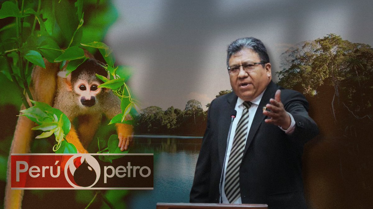 Ojo_Publico's tweet image. 🚨La Fiscalía Especializada en Materia Ambiental alertó a #OjoPúblico que futuras investigaciones por contaminación y sanciones a funcionarios pueden resultar afectadas ante el proyecto de ley que debilita a las #ÁreasNaturalesProtegidas🌳.
👉ojo-publico.com/5826/perupetro…👈
