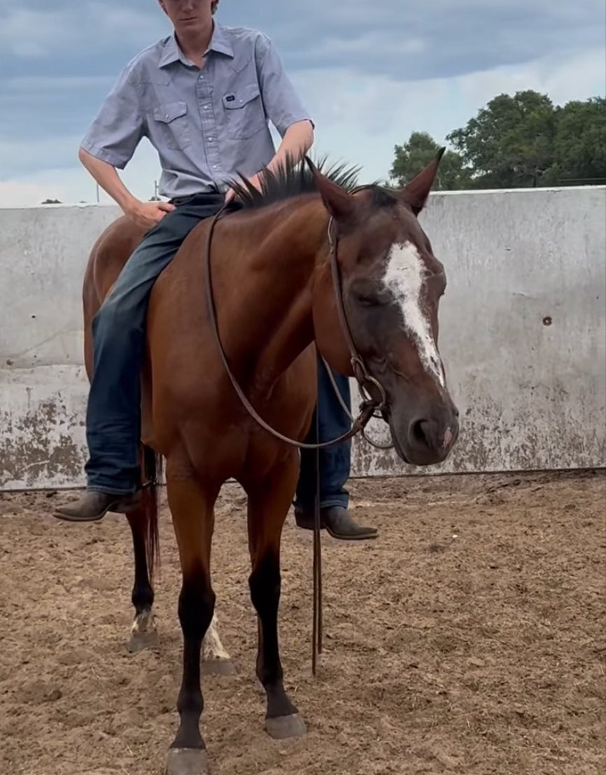 heartandhooves's tweet image. 🚨Trent is 3 of 13 we’re fighting to save! 💔 Another soul failed by humans, and now facing a one-way trip to slaughter in Mexico. We can’t let that happen. Help us give her a second chance! #SaveDixie #StopSlaughter #HorseRescue 🐴🙏
paypal.com/donate/?campai…