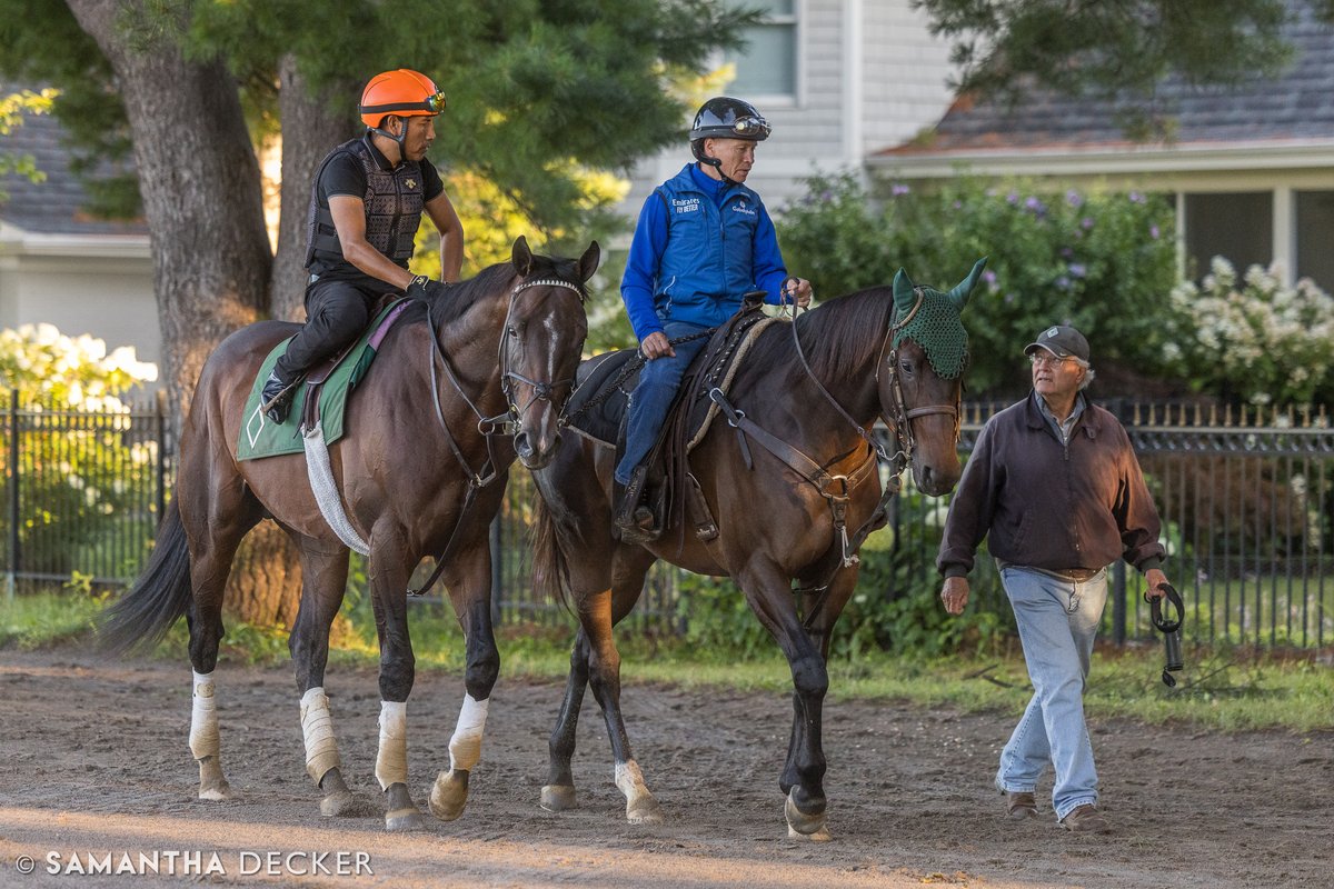 Another morning with the stars of the Spa.  Just a few familiar equine faces I saw today:  <a href="/Thorpedo_Anna/">Thorpedo Anna</a> (with Danny Ramsey on board), Sierra Leone (with Kriss Bon onboard), Mystik Dan (with Danny onboard again), and Sovereignty (with Jimmy Quispe onboard).

Shot for the