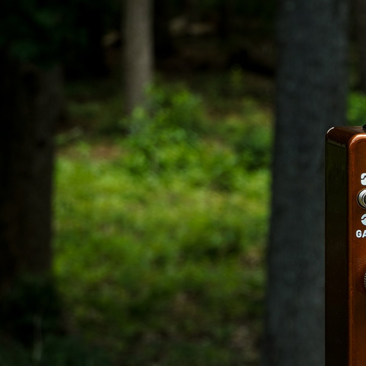 CopperSoundFX's tweet image. It's coming. Join our newsletter to know first!
#coppersound #pedals #v2 #guitargear #guitarpedals