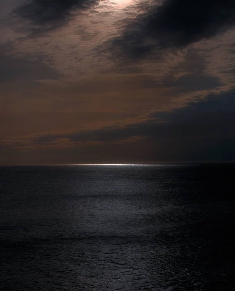 PepijnDemortier's tweet image. “When people concentrate on the idea of beauty, they are, without realizing it, confronted with the darkest thoughts that exist in this world.”
~ Yukio Mishima