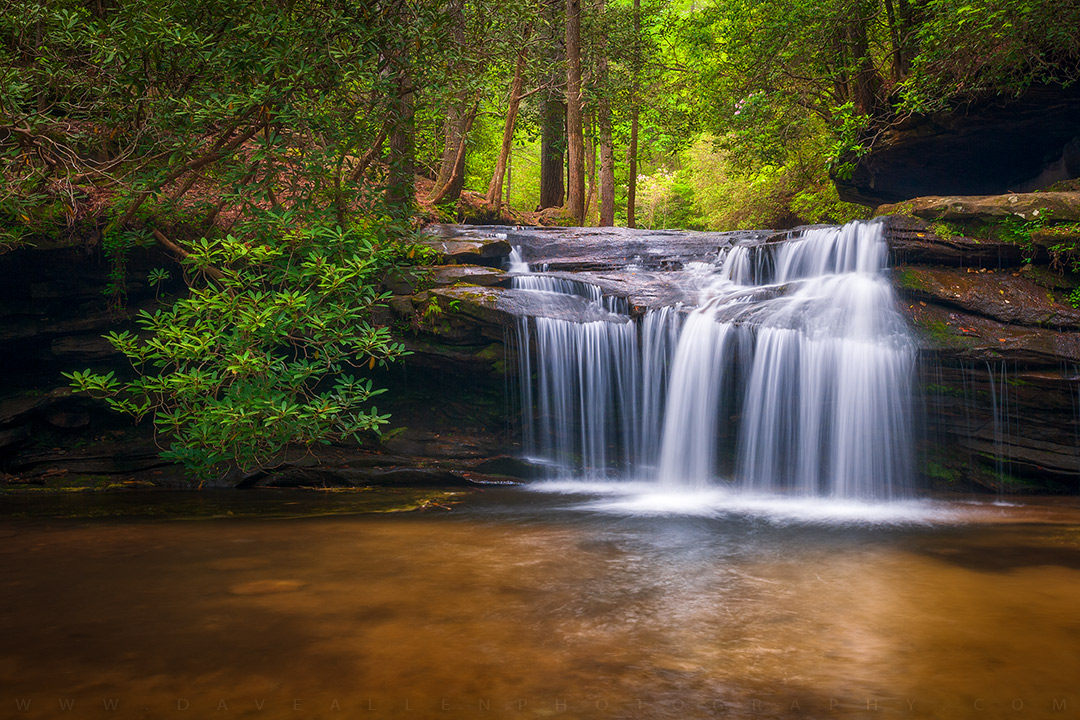 DaveAllenPhoto's tweet image. What&apos;s more peaceful than spending a couple hours at a small waterfall deep in the Blue Ridge Mountains?  Pretty much nothing 😉