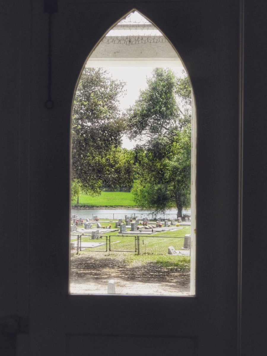 mcguire_marline's tweet photo. How about a room with a view
#ThroughTheWindow🪟 https://t.co/E1onA6DMDo