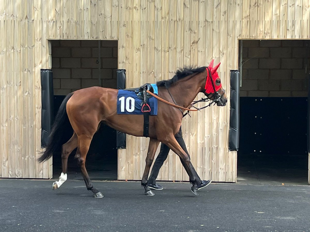 HasmoneanRacing's tweet image. Great run today by Bay Of Dreams at Lingfield.
She showed she can handle softer conditions. With the right placement she can win again soon. 6 handicaps in a row she hasn’t been out of the 3.
👏🏻
