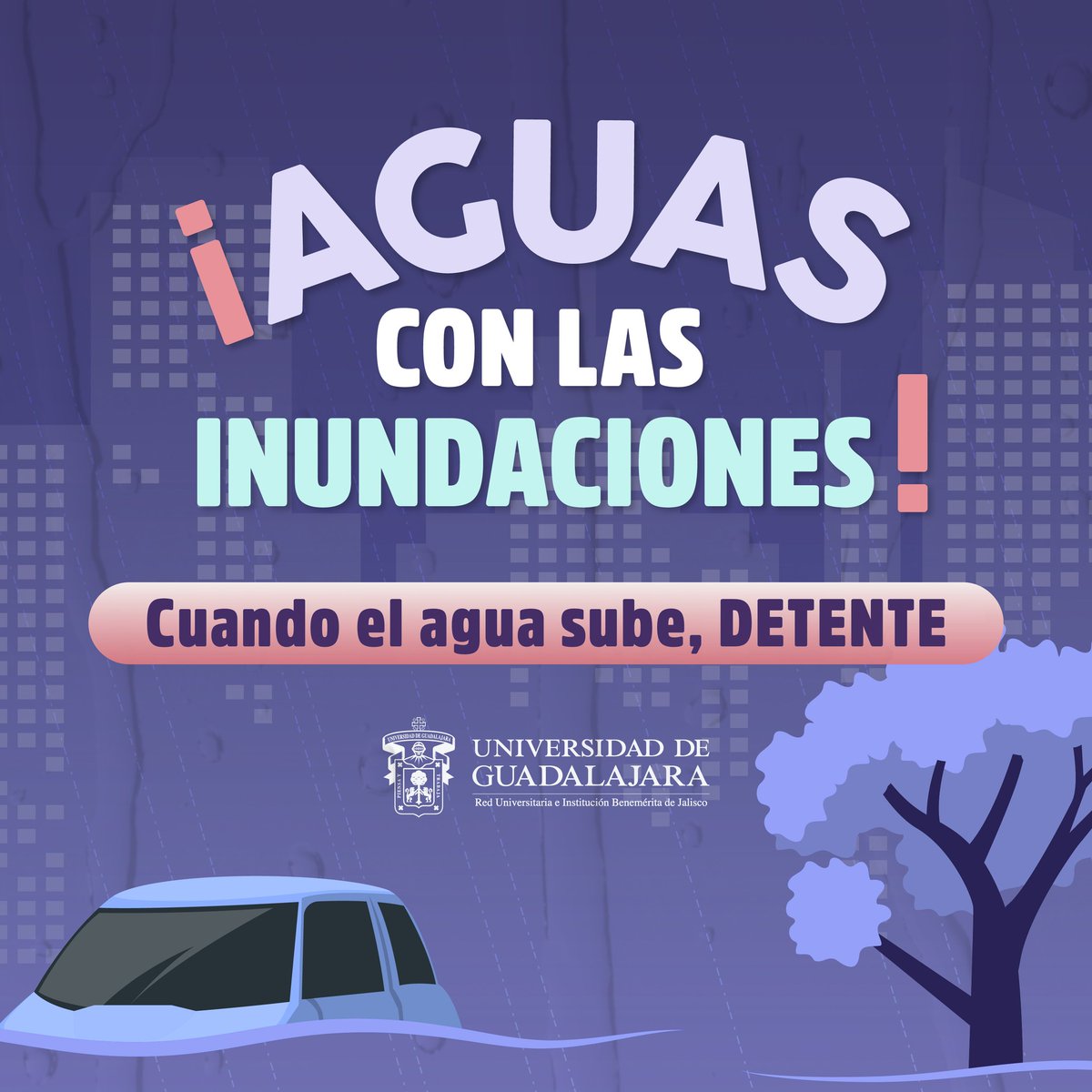 gacetaudeg's tweet image. ⚠️En el AMG existen zonas con alto riesgo de inundación durante una tormenta. ⛈️🚗🌊
🗺️¡Infórmate y mantente seguro!