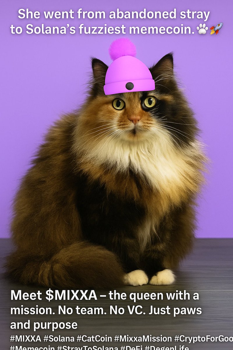 MixxaWifHat2's tweet photo. She went from abandoned stray
to Solana’s furriest memecoin. 🐾🚀
Meet $MIXXA no team, no VC.
Just fluff, fire, and a mission.

#MIXXA #Solana #MixxaMission #CatCoin #StrayToSolana #CryptoForGood #DegenLife #Memecoin https://t.co/DumnFGsaiX