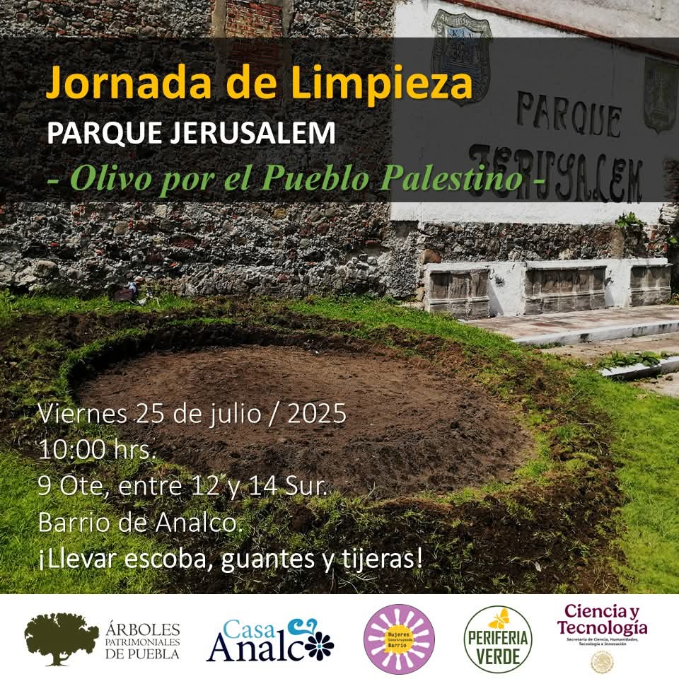 arboles_puebla's tweet photo. ¡Acompáñanos, previo a la plantación del #OlivoPorElPuebloPalestino! Realizaremos excavación de cepas y limpieza en el #ParqueJerusalem.
Con @CasaAnalco Mujeres Construyendo Barrio y @periferiaverde https://t.co/qKeWBfnl20