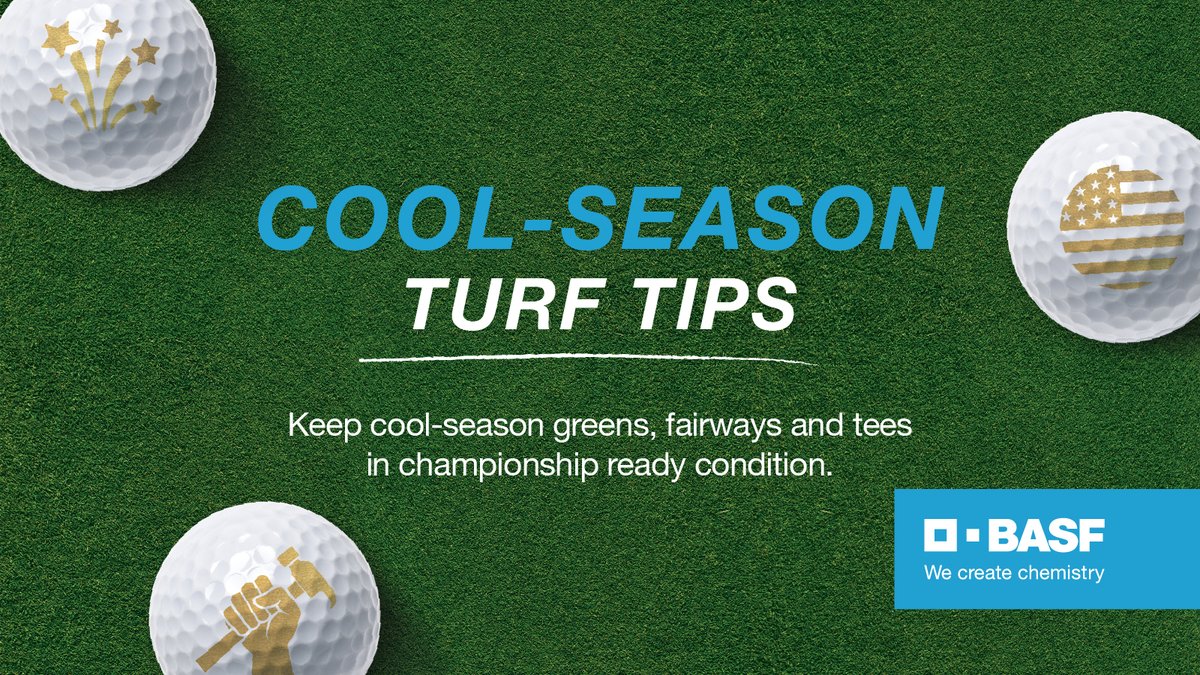 It’s getting hot out there! 🌞 That’s why our BASF experts are here to share top tips for keeping cool-season greens, fairways and tees in championship ready condition. Get the best strategies here: bit.ly/4blnDeS
