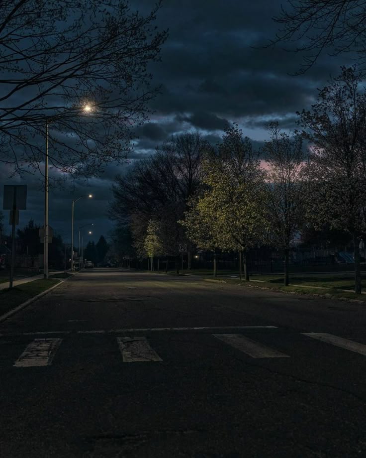 night walk.