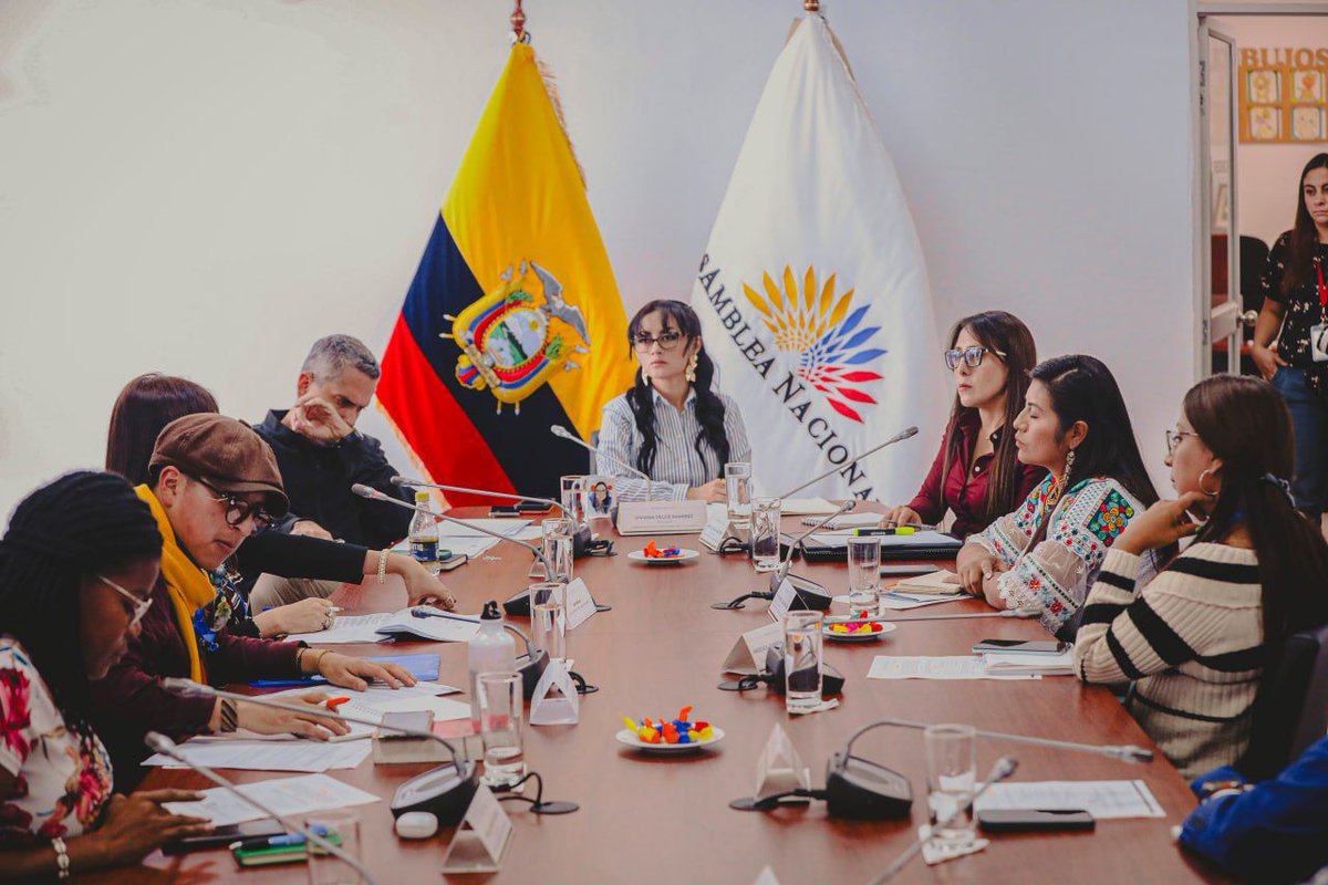 AsambleaEcuador's tweet photo. @CorteNacional @ComisionNinezAN En Comisión General, @ComisionNinezAN recibe al abogado Andrés Játiva que expone aportes y observaciones al los proyectos de #ReformasCONA: Libros I, II, y III. https://t.co/9qNqezDlXK