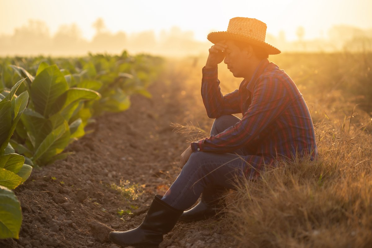 With heat index values reaching dangerous levels, Georgia farmers and landscape professionals face increased risk of heat-related illness. UGA Extension specialists urge both workers and supervisors to prioritize hydration, rest, and mental well-being. 🔗 bit.ly/450VMPd