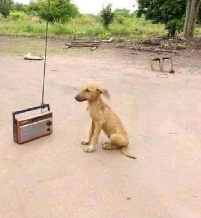 infamous_tweep's tweet image. You be watching Gyokeres videos on YouTube then hear rumours about Eze