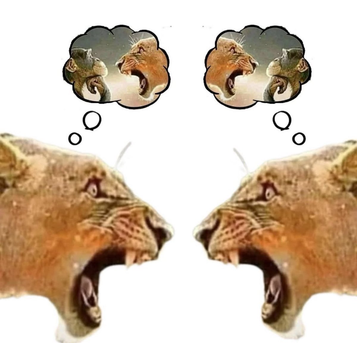 BreadianROBLOX's tweet image. Roblox twitter: