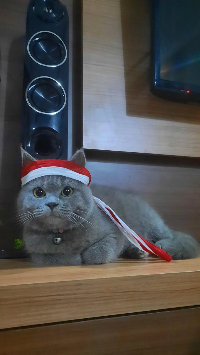 69dpr's tweet photo. bubu si nurut kalo lagi ada mau nya https://t.co/W3jSPc1QCv