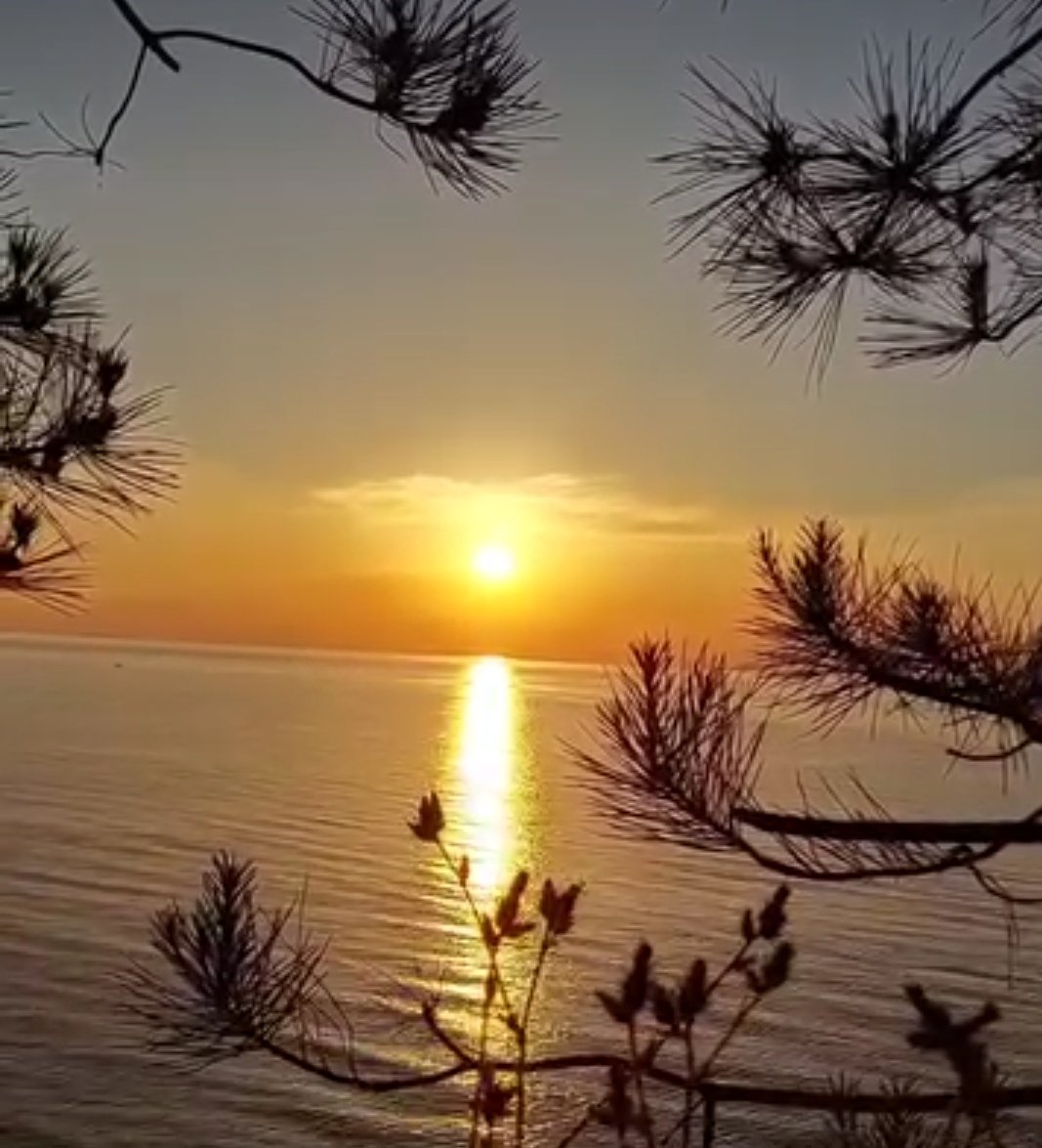 S. Zweig, dünyanın bir daha düzlüğe çıkamayacağını Hitler'in kabusunun hiç bitmeyeceğini ,hayatın çekilmez olacağını düşünüp eşiyle intihar ettiğinde Hitler çoktan ölmüştü bile..
İçindeki umut seni yaşatır.
#Zweig
#Salı