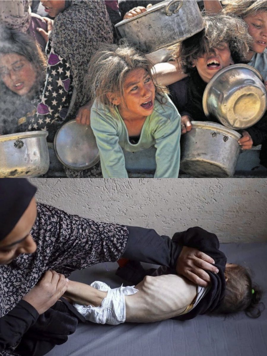 ayar_313's tweet image. این روزا "حقوق بینالملل" چرتترین واژهای که میشنوم!
@antonioguterres
#غزه_تموت_جوعاً