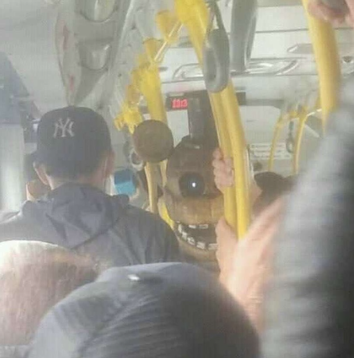 Shitpost 2077 (@shitpost_2077) on Twitter photo 