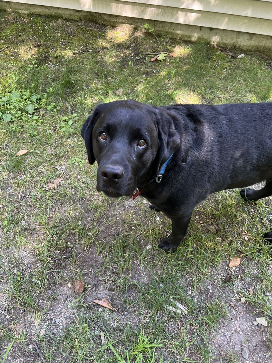 Hi pals! I know you haven’t seen me for a while. (Blame mommy.) So here’s a picture from today. #hooligansquad