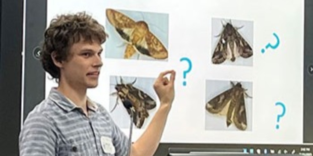 theGRDC's tweet image. 🔬 @CSIRO Agriculture & Food Vacation Studentships (backed by GRDC) give undergrads hands-on research experience in ag innovation.
It helps people like @Sydney_Uni’s Bill Scott who building an AI-powered insect monitor. Story 🦗 bit.ly/4fjkRK9
@HazelScienceNut