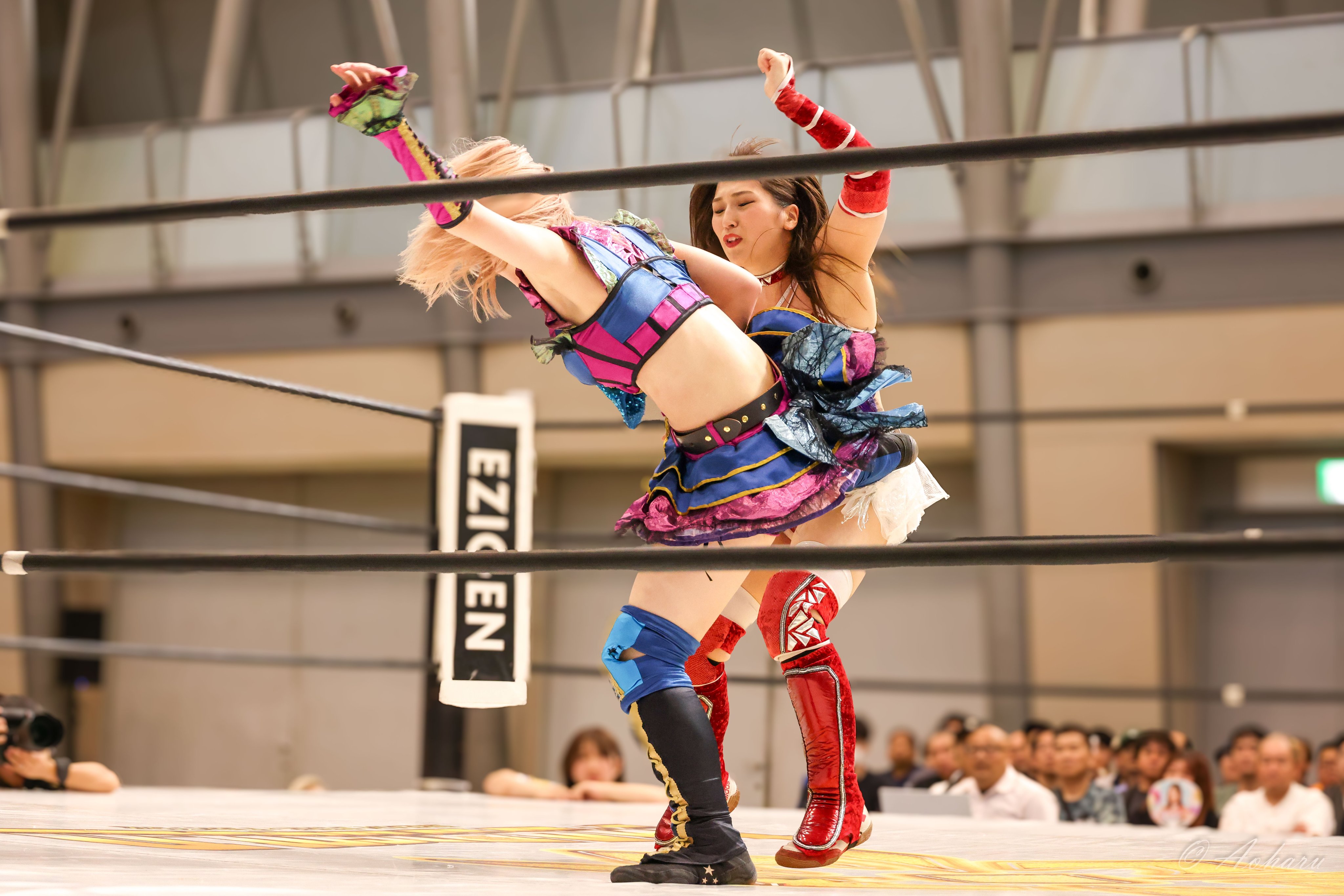 直筆サイン入り　女子プロレス　マリーゴールド　川越大会　凱旋　青野未来　ポスター 直筆サイン入り 女子プロレス マリーゴールド 川越大会 凱旋