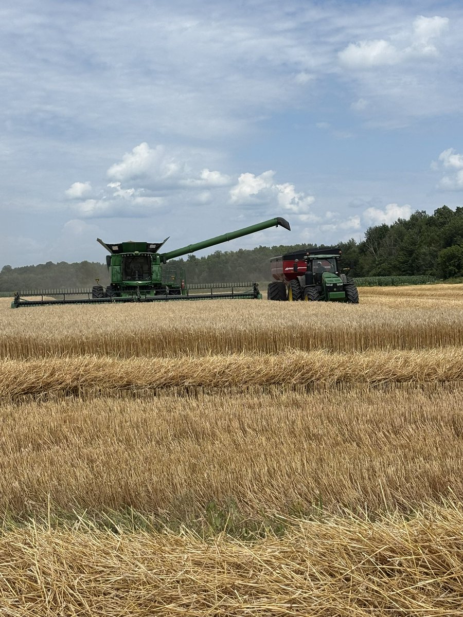 TanyaLegault46's tweet photo. As we move into harvest mode, starting off with winter wheat! The growing seasons is still in full swing, happily  servicing our customers with any questions or concerns in the field! Domar’s summer project is our warehouse to continue to serve our customers as best we can! https://t.co/xVPdtlgwBr
