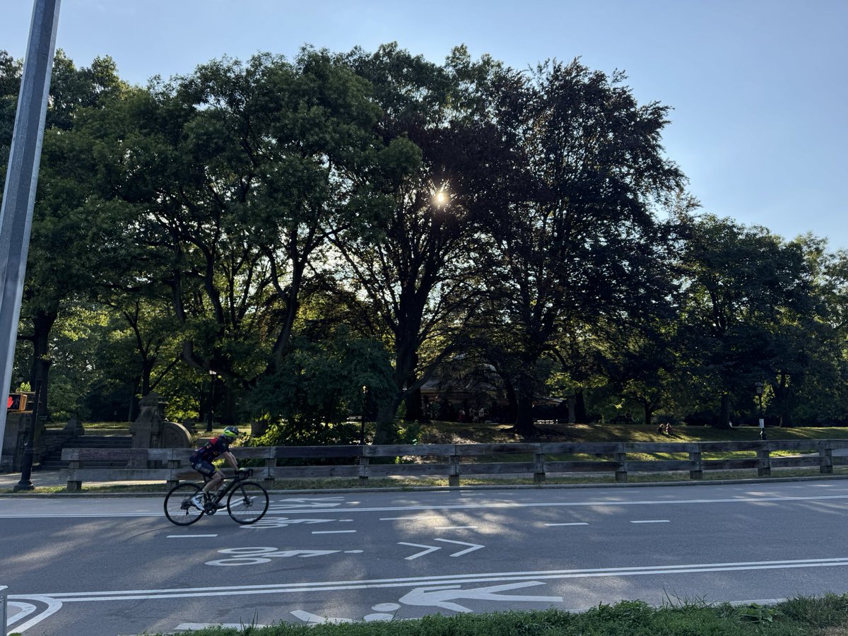 jwilcox79's tweet image. An actually enjoyable summer afternoon (for the first time in a while) to just wander around.