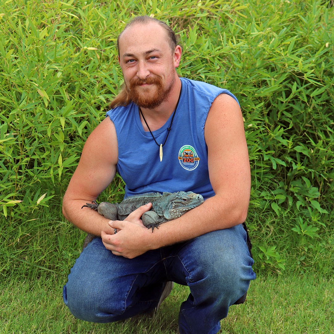 RHZoo's tweet image. It’s #NationalZookeeperWeek! 🐾 We’re spotlighting our amazing Keeper staff all week long! Have you been following along? Head to our Facebook or Instagram daily 'til Sunday to meet the faces behind the care & conservation at #RollingHillsZoo! 💚 #NZKW2025