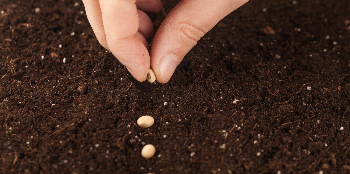 will_cardi's tweet image. Just as seeds fall on different types of soil and terrain, the Word we proclaim will also fall on different kinds of hearts and minds. The #effectiveness of the message does not depend solely on the #preacher, but also on those who receive it. We need to be patient. We must…